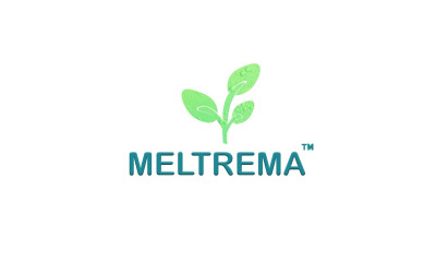 Meltrema Holdings Logo 2